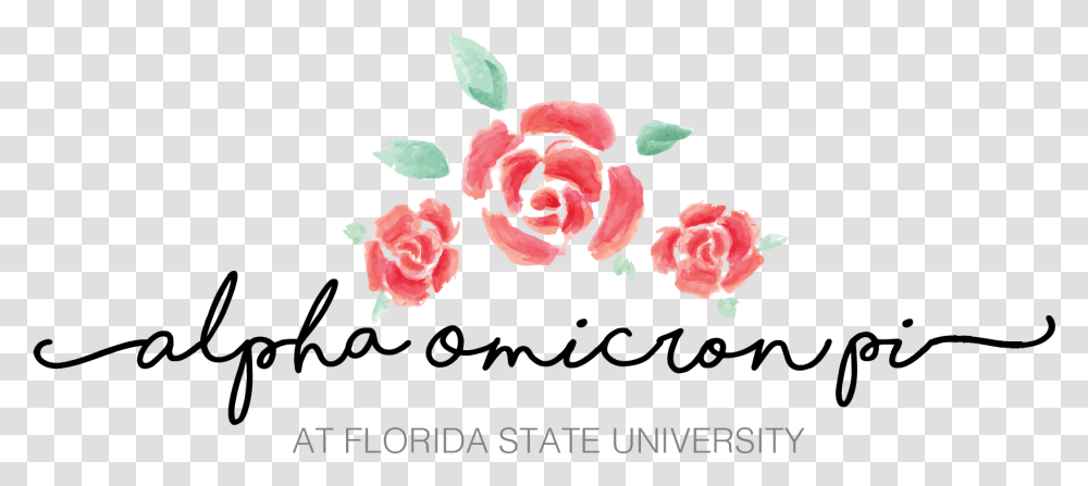 Florida Outline Garden Roses, Plant, Flower, Blossom, Petal Transparent Png