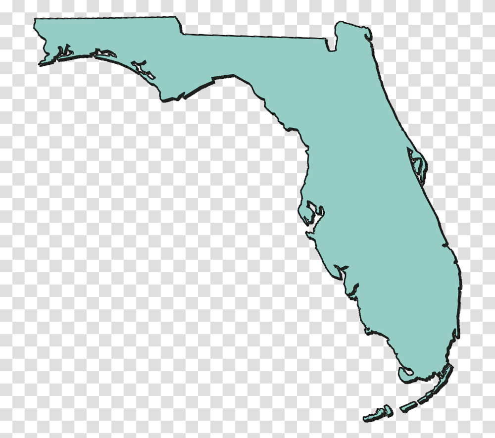 Florida Research Development Alliance Florida State Map, Outdoors, Nature, Person, Shoreline Transparent Png