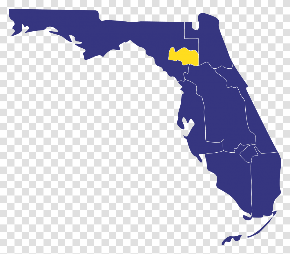 Florida State Map, Nature, Outdoors, Bird, Animal Transparent Png