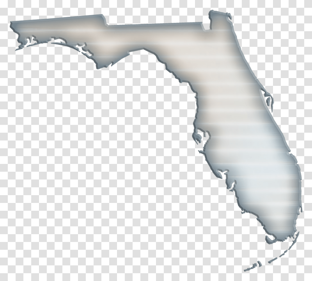 Florida State Map, X-Ray, Medical Imaging X-Ray Film, Ct Scan Transparent Png