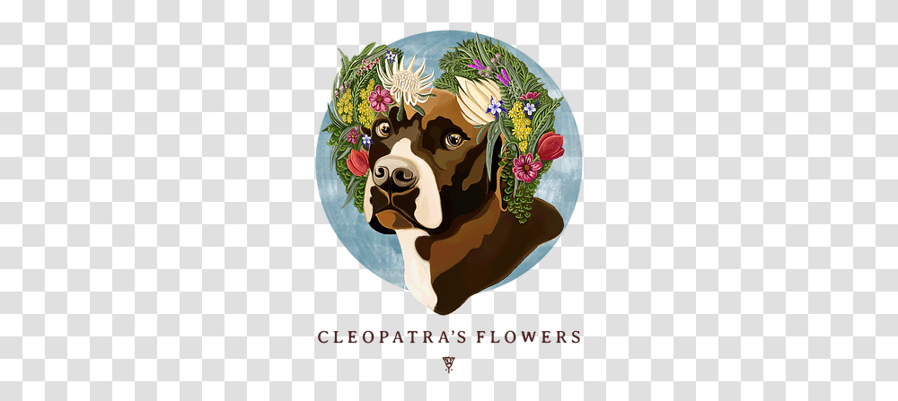 Florist Cleopatra's Flowers United States Boston Terrier, Mammal, Animal, Canine, Pet Transparent Png