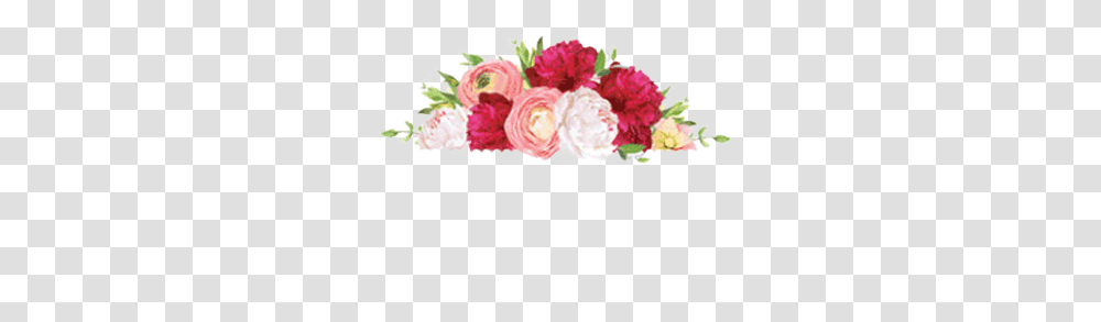 Florist In Baton Rouge Fresh Flowers Same Day Delivery Pink, Plant, Blossom, Carnation, Rose Transparent Png