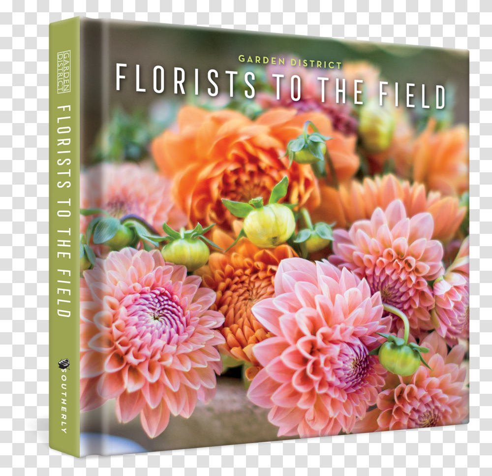 Florists To The Field Common Zinnia, Dahlia, Flower, Plant, Blossom Transparent Png