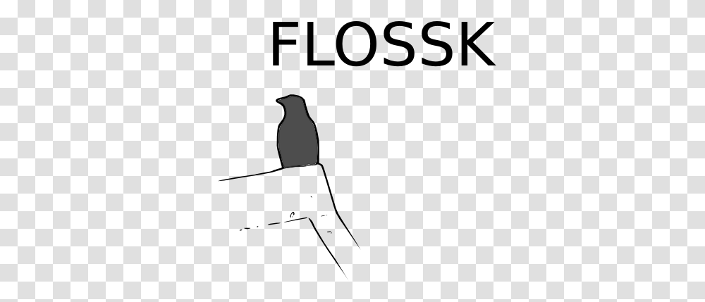 Flossk Looking, Animal, Bird, Silhouette, Blackbird Transparent Png