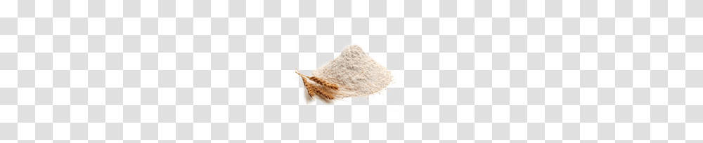 Flour, Food, Powder, Plant, Brush Transparent Png