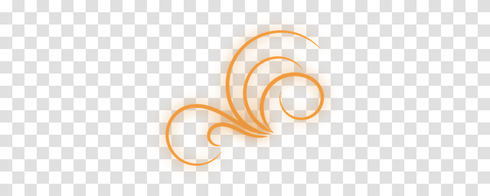 Flourish Nature, Animal, Sea Life, Invertebrate Transparent Png