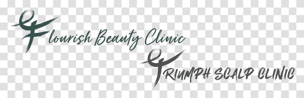 Flourish Beauty Clinic Calligraphy, Handwriting, Alphabet, Label Transparent Png