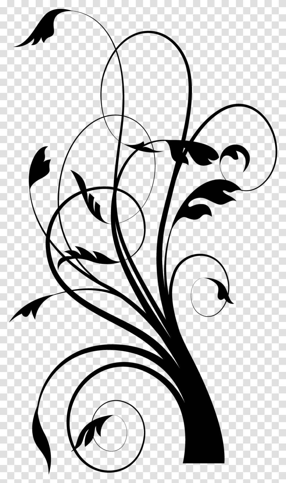 Flourish Graphics Clipart Best Florish, Gray, World Of Warcraft Transparent Png