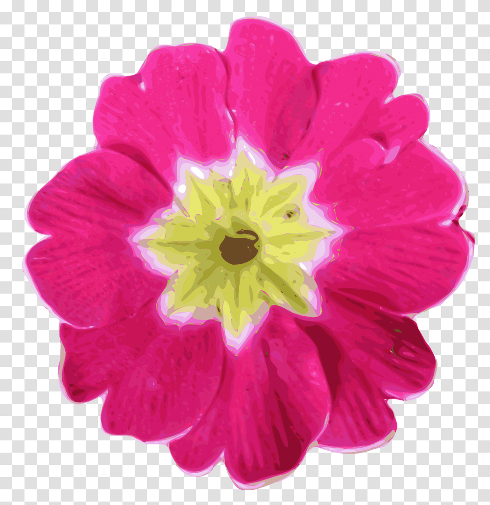 Flower 11 Clip Arts Pink Flower Clip Art, Geranium, Plant, Blossom, Petal Transparent Png