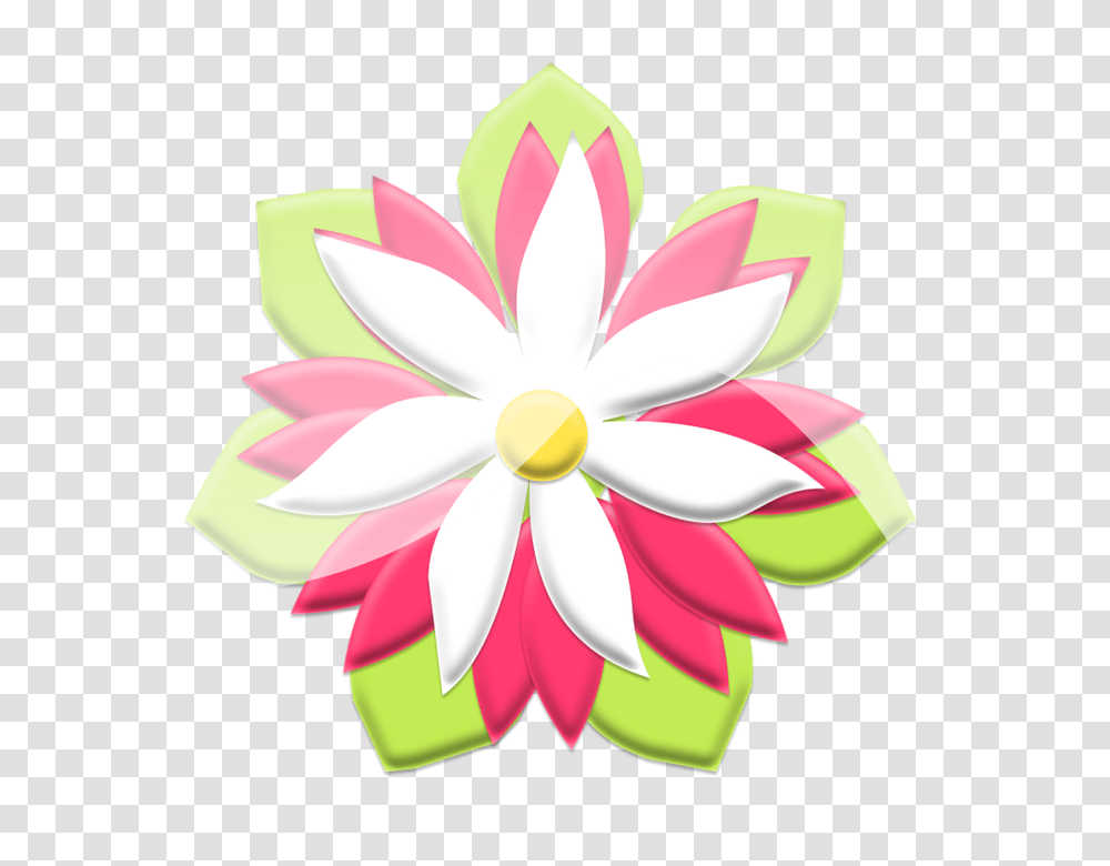 Flower 960, Plant, Petal, Blossom, Daisy Transparent Png