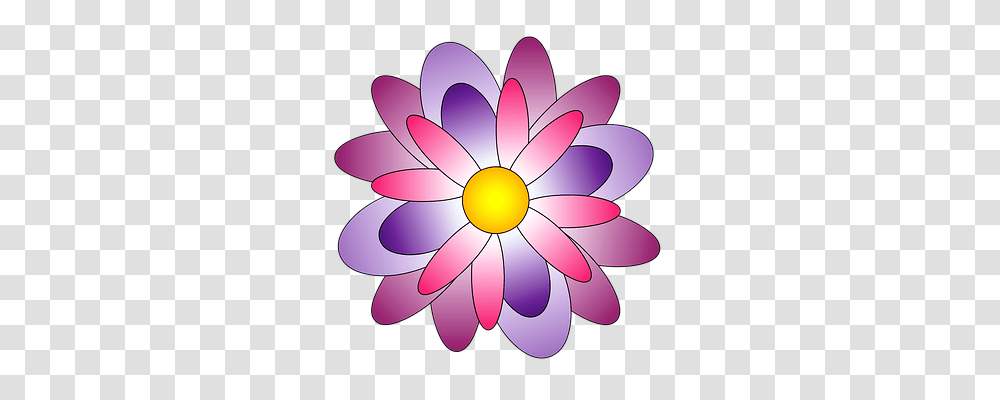 Flower Nature, Plant, Dahlia, Blossom Transparent Png