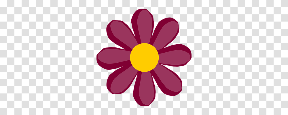 Flower Nature, Daisy, Plant, Daisies Transparent Png