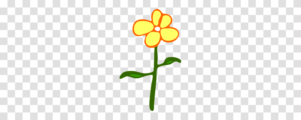 Flower Nature, Plant, Blossom, Cross Transparent Png