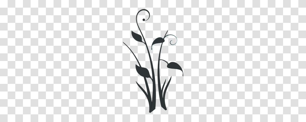 Flower Nature, Plant Transparent Png