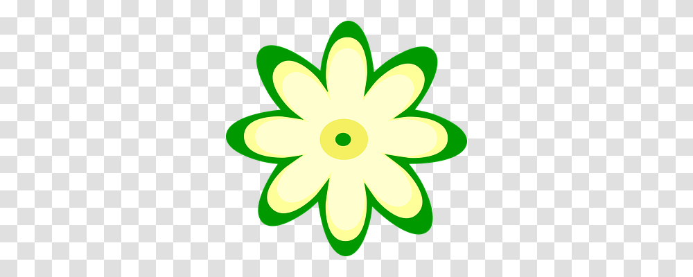 Flower Nature, Plant, Petal, Daisy Transparent Png