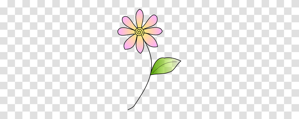 Flower Nature, Plant, Leaf, Daisy Transparent Png