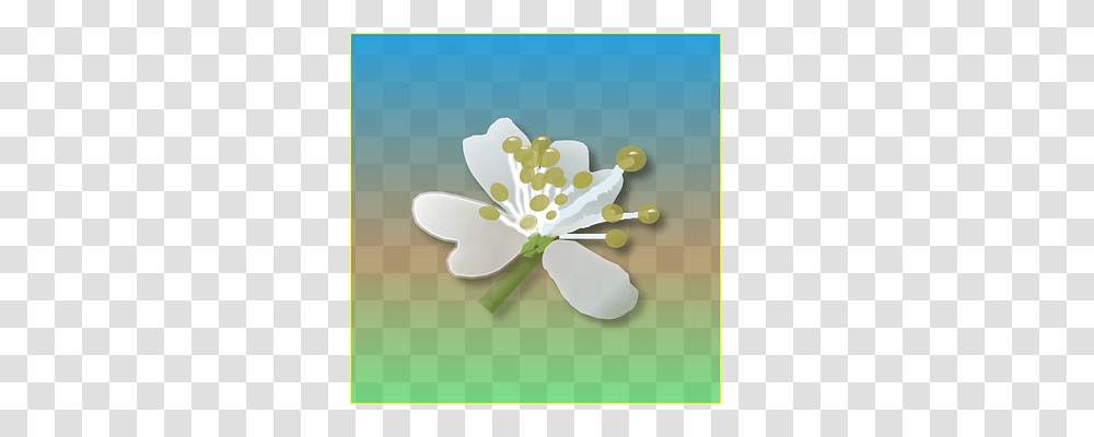 Flower Nature, Plant, Anther, Floral Design Transparent Png