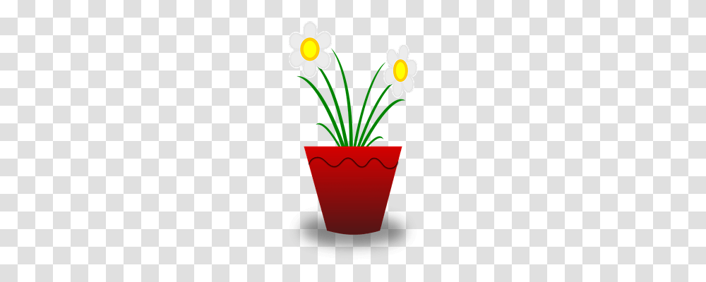 Flower Nature, Plant, Blossom, Pot Transparent Png