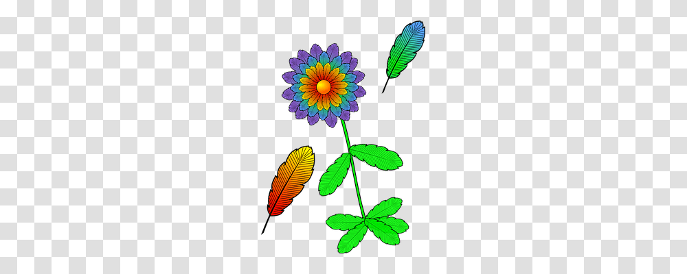 Flower Nature, Plant, Leaf, Green Transparent Png