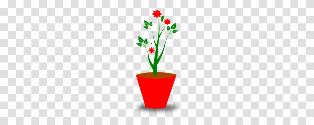 Flower Nature, Plant, Blossom, Pot Transparent Png