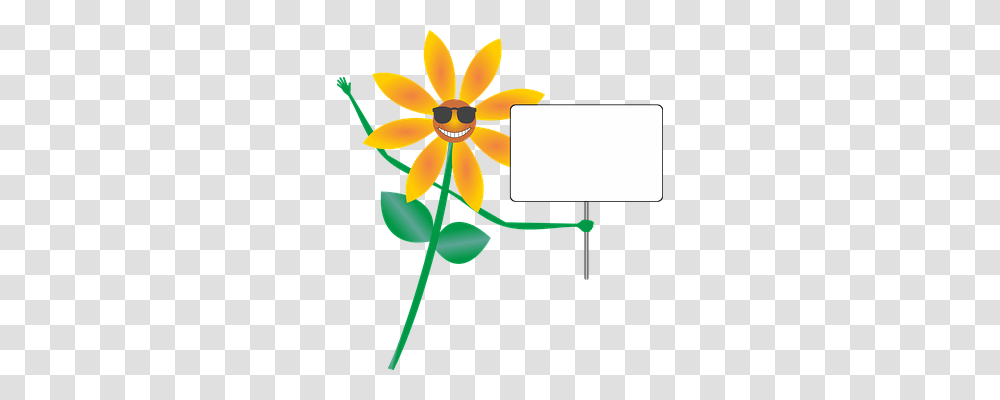 Flower Emotion, Plant, Blossom, Lamp Transparent Png