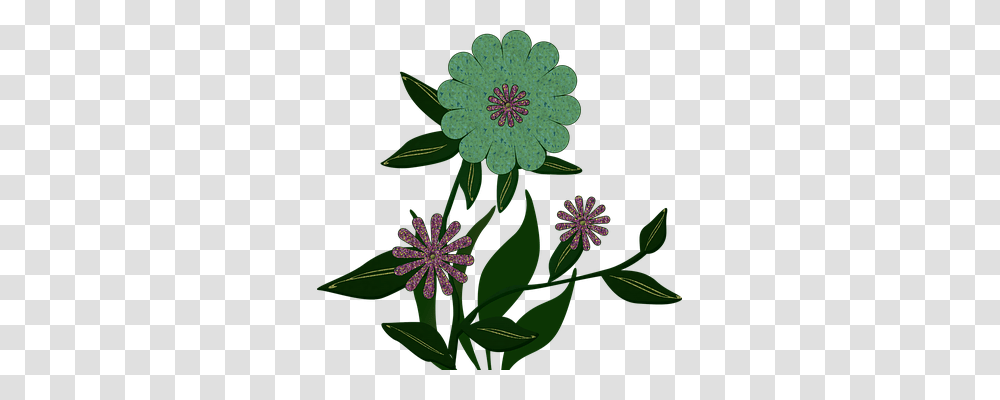 Flower Nature, Plant, Blossom, Daisy Transparent Png