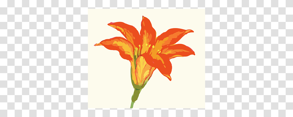 Flower Leaf, Plant, Chicken, Bird Transparent Png