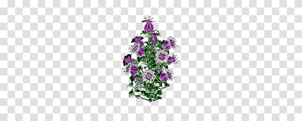 Flower Purple, Plant, Acanthaceae, Geranium Transparent Png