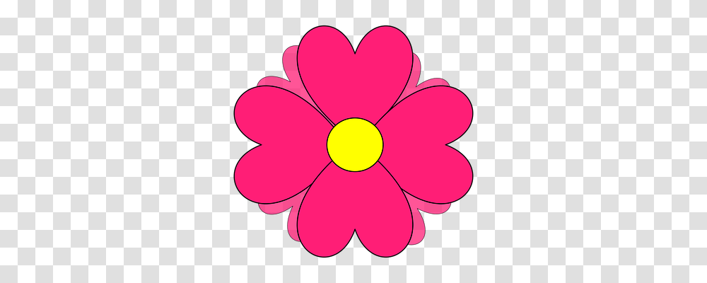 Flower Petal, Plant, Blossom, Daisy Transparent Png