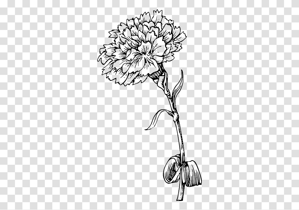 Flower 2229346 Marigold Flower Black And White, Chandelier, Plant, Tool, Face Transparent Png