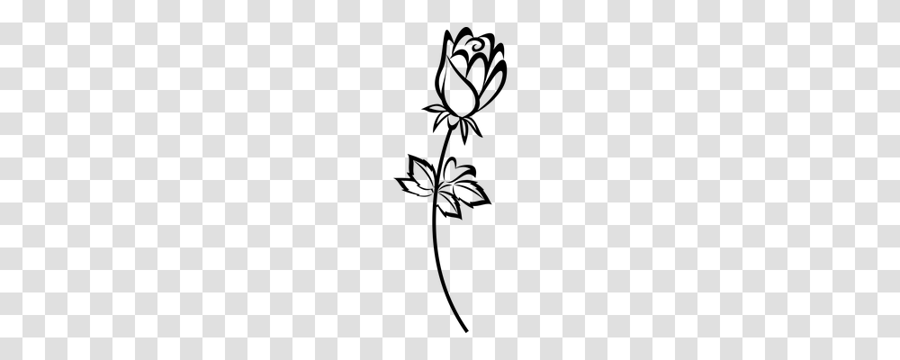 Flower Emotion, Gray, World Of Warcraft Transparent Png