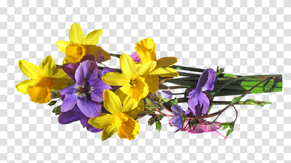 Flower 960, Plant, Blossom, Geranium, Daffodil Transparent Png