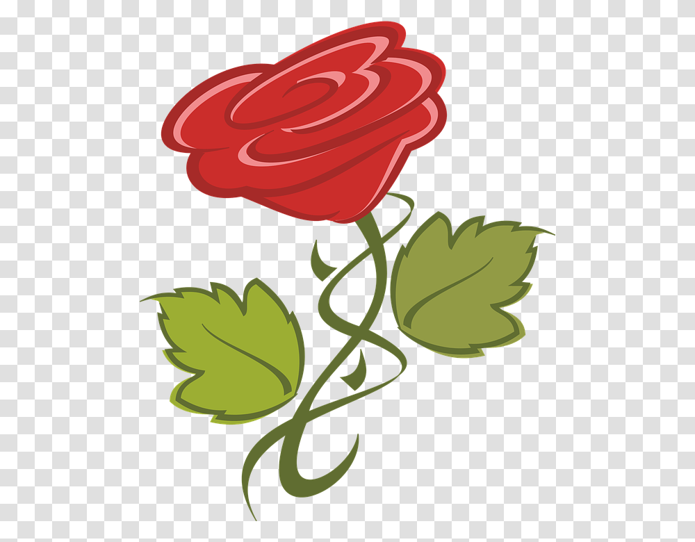 Flower 960, Plant, Rose, Blossom, Petal Transparent Png