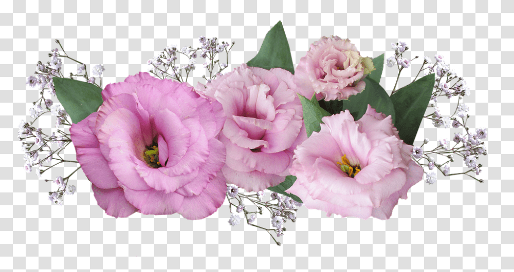 Flower 960, Plant, Blossom, Peony, Accessories Transparent Png