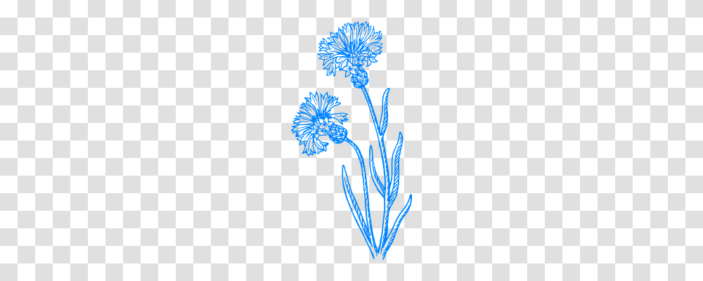 Flower Nature, Pattern Transparent Png