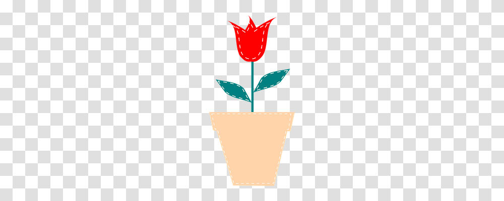 Flower Nature, Plant, Potted Plant, Vase Transparent Png