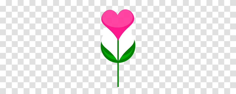 Flower Emotion, Balloon, Armor, Leaf Transparent Png