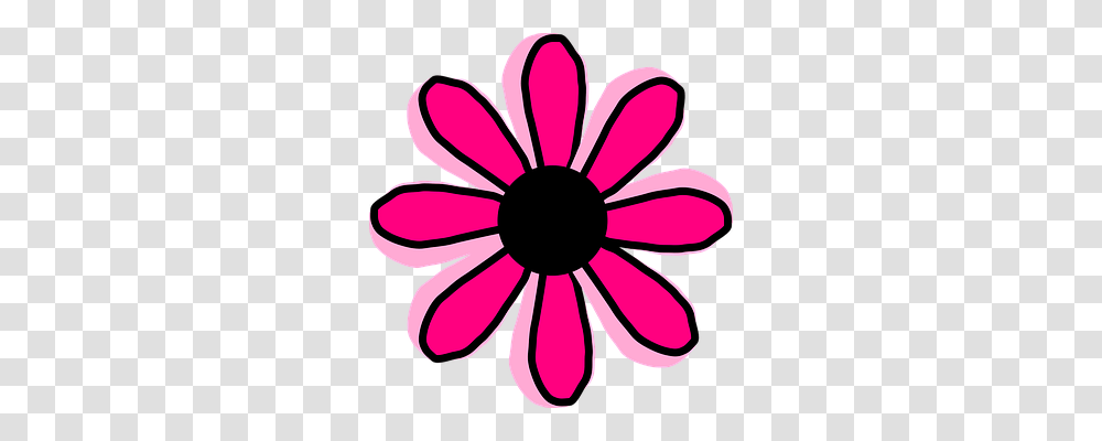 Flower Emotion, Daisy, Plant, Daisies Transparent Png