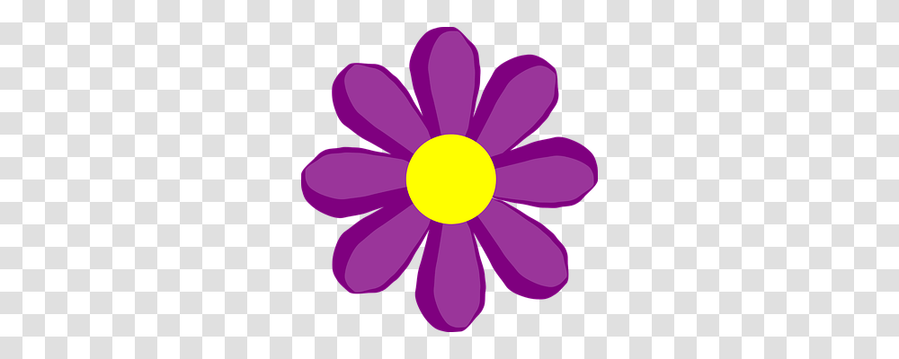 Flower Nature, Purple, Petal, Plant Transparent Png