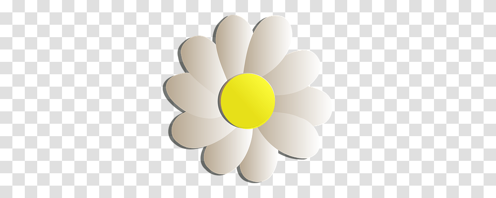 Flower Plant, Blossom, Daisy, Balloon Transparent Png