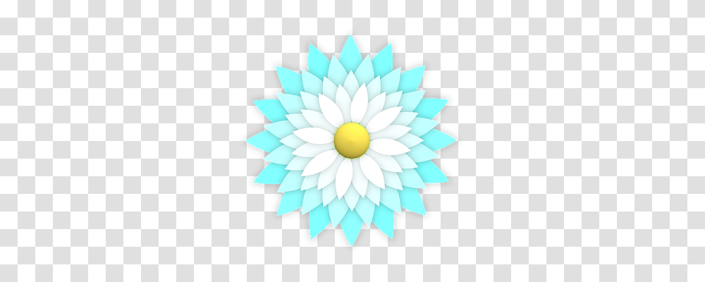 Flower Plant, Blossom, Petal, Dahlia Transparent Png