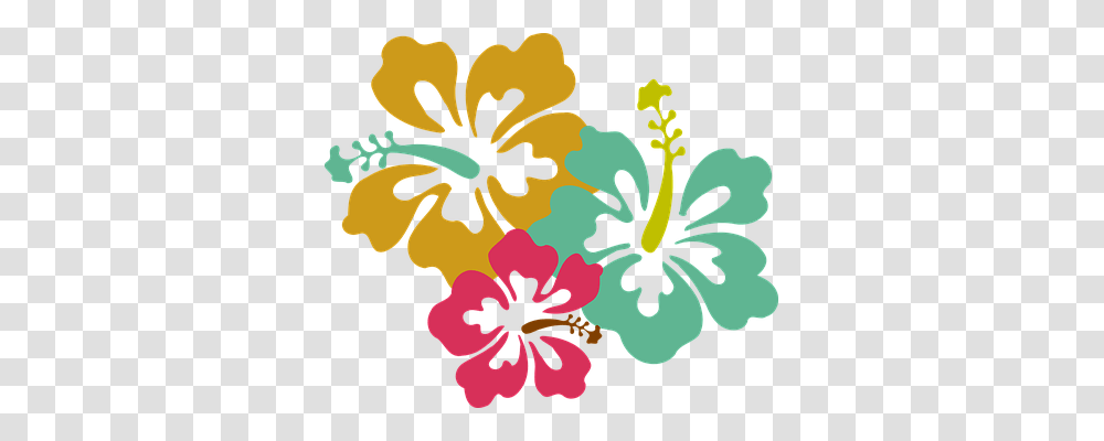 Flower Holiday, Hibiscus, Plant, Blossom Transparent Png