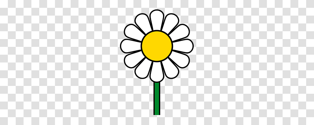 Flower Nature, Plant, Blossom, Daisy Transparent Png