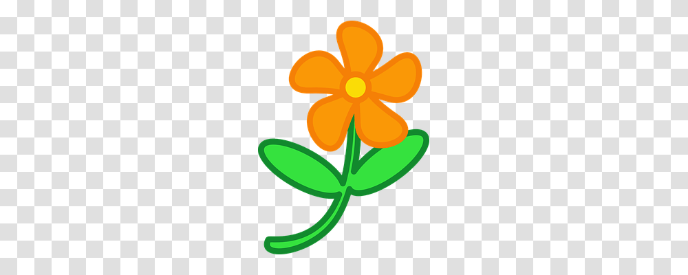 Flower Nature, Plant, Anther, Pollen Transparent Png