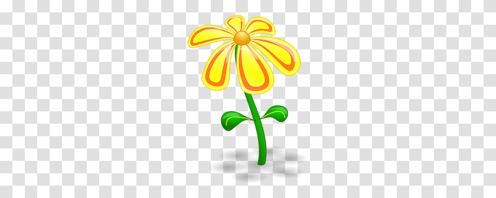 Flower Nature, Plant, Anther, Petal Transparent Png