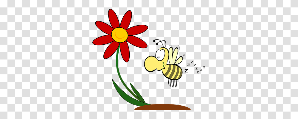 Flower Animals, Honey Bee, Insect, Invertebrate Transparent Png