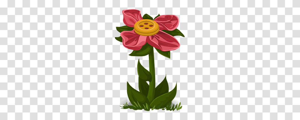 Flower Nature, Plant, Blossom, Floral Design Transparent Png