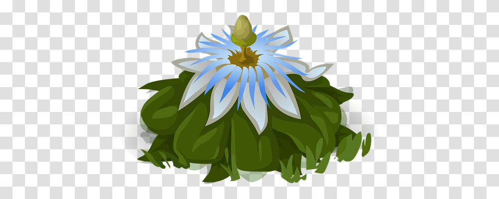 Flower Nature, Plant, Pond Lily, Anther Transparent Png