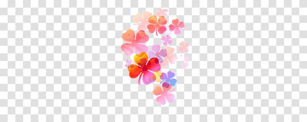 Flower Nature, Floral Design Transparent Png