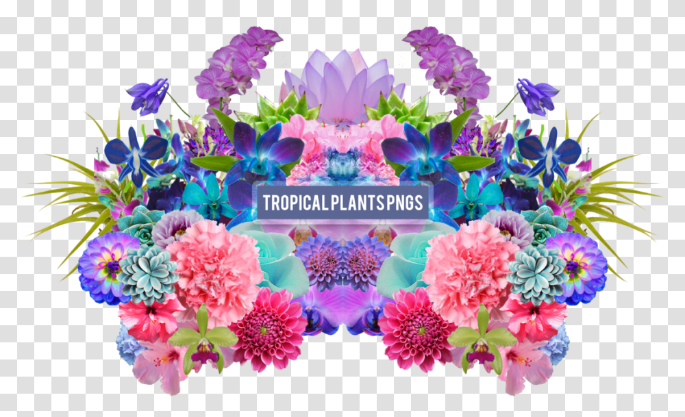 Flower Aesthetic 4 Image Aesthetic Tropical Flowers, Plant, Dahlia, Purple, Graphics Transparent Png